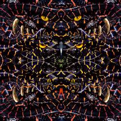 MASACRE (PER) : Versos del Inframundo